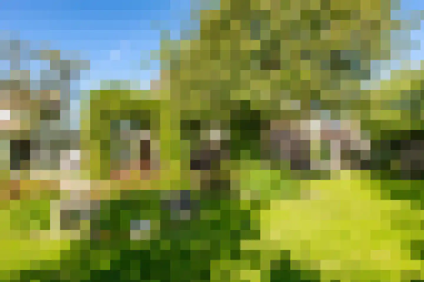 Akkerstraat 18 Hardinxveld-Giessendam thumbnail 38