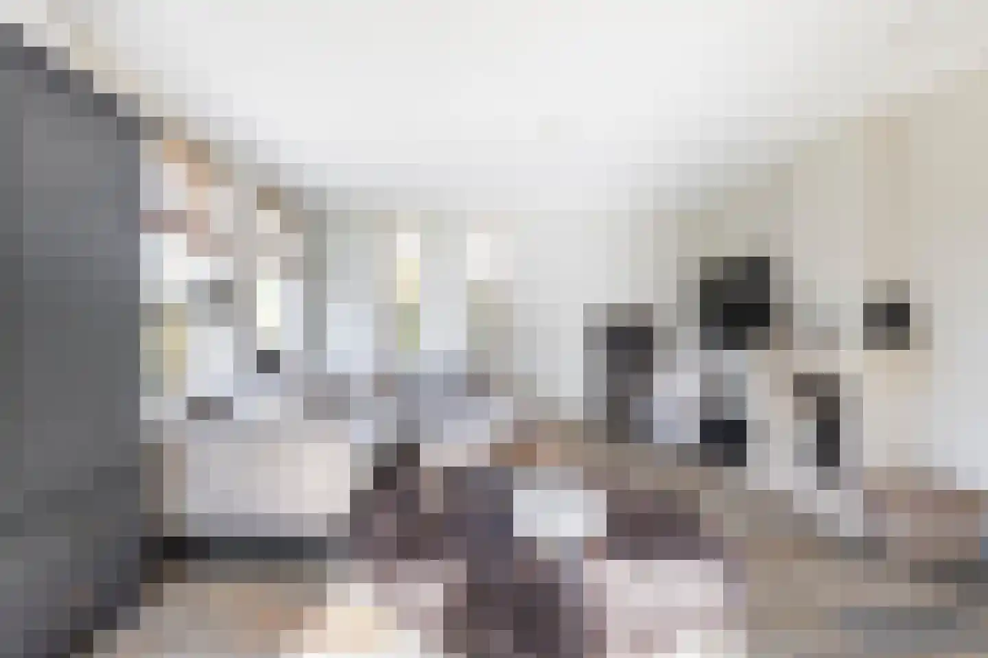 Akkerstraat 18 Hardinxveld-Giessendam thumbnail 4