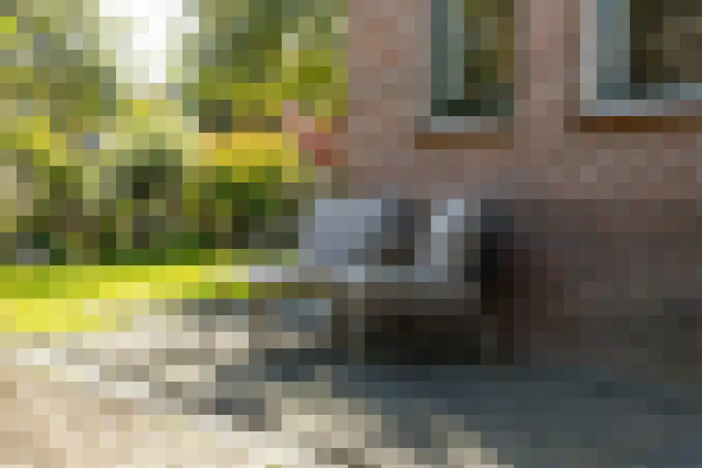 Akkerstraat 18 Hardinxveld-Giessendam thumbnail 43