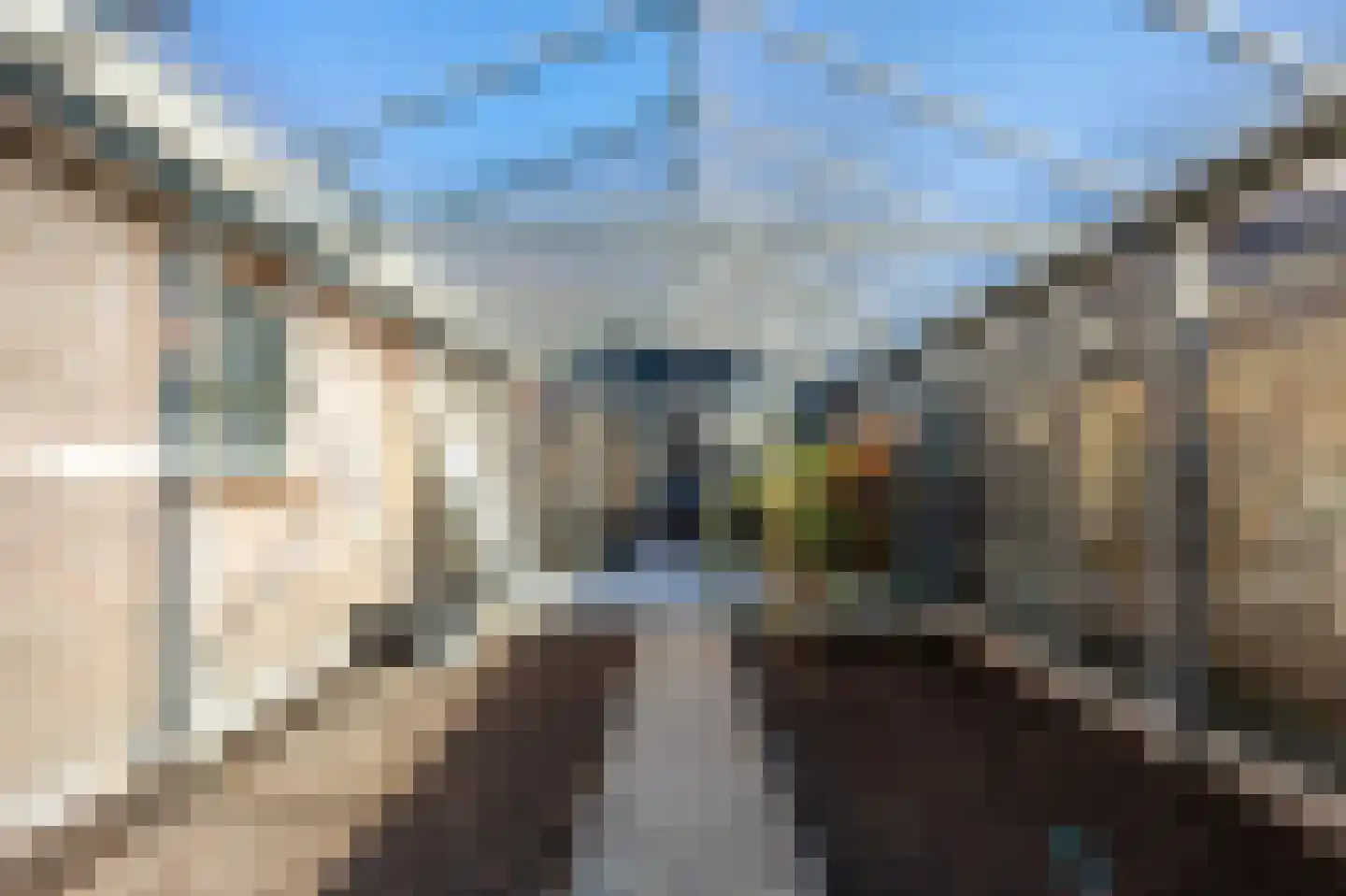 Akkerstraat 18 Hardinxveld-Giessendam thumbnail 44