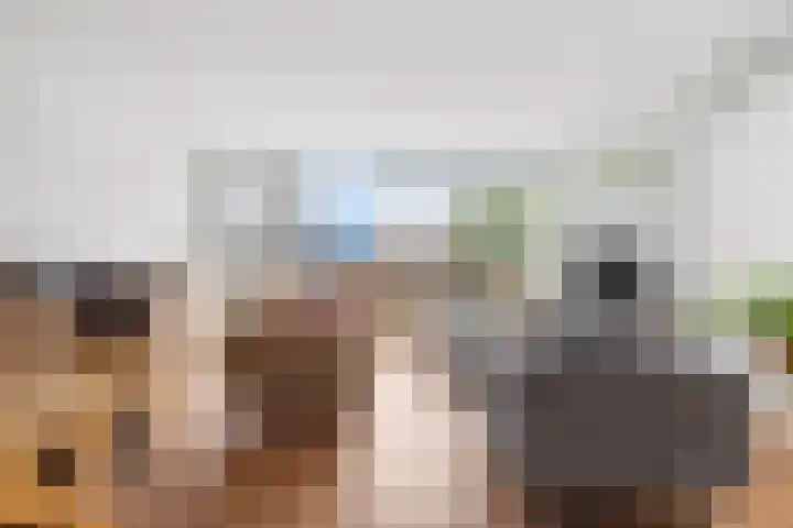 Akkerstraat 19 k Waalre thumbnail 13