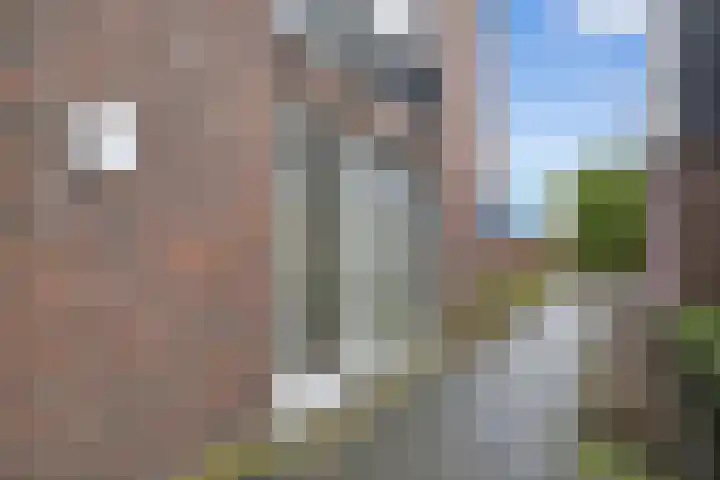 Akkerstraat 19 k Waalre thumbnail 20