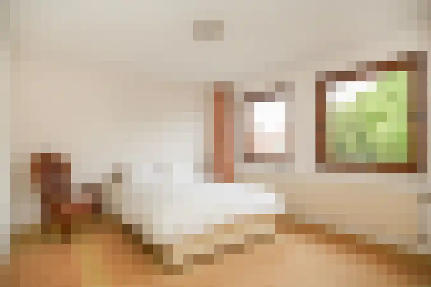 Akkerstraat 2 Beneden-Leeuwen thumbnail 22