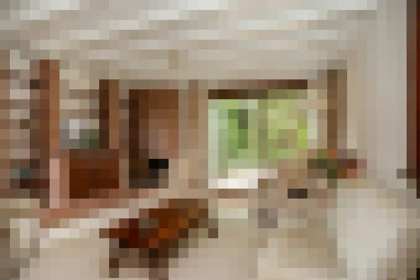 Akkerstraat 2 Beneden-Leeuwen thumbnail 6