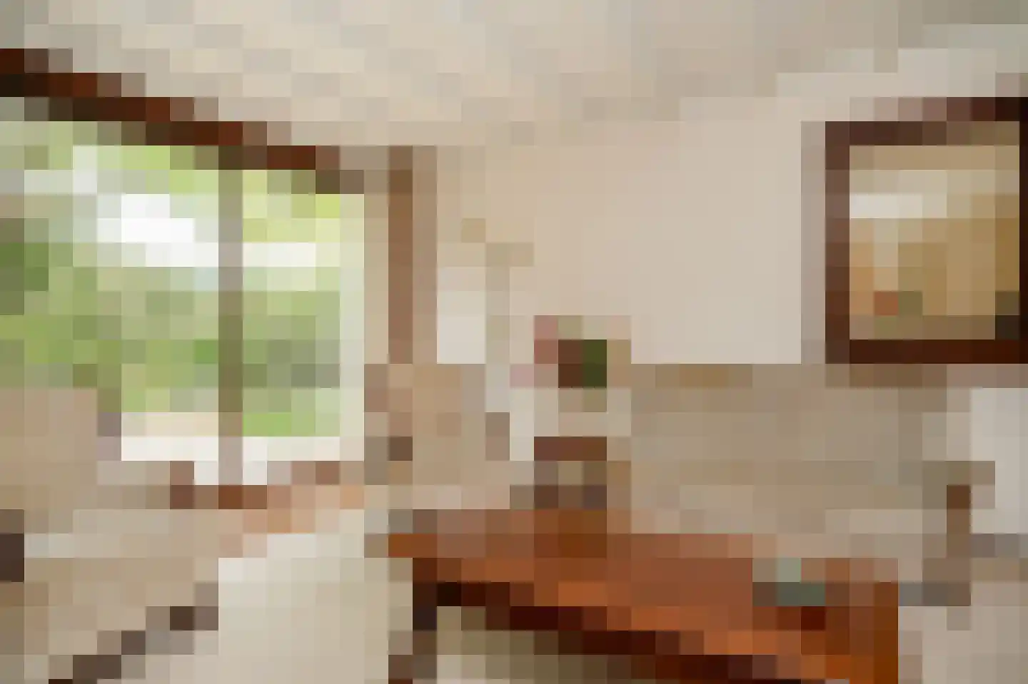 Akkerstraat 2 Beneden-Leeuwen thumbnail 7