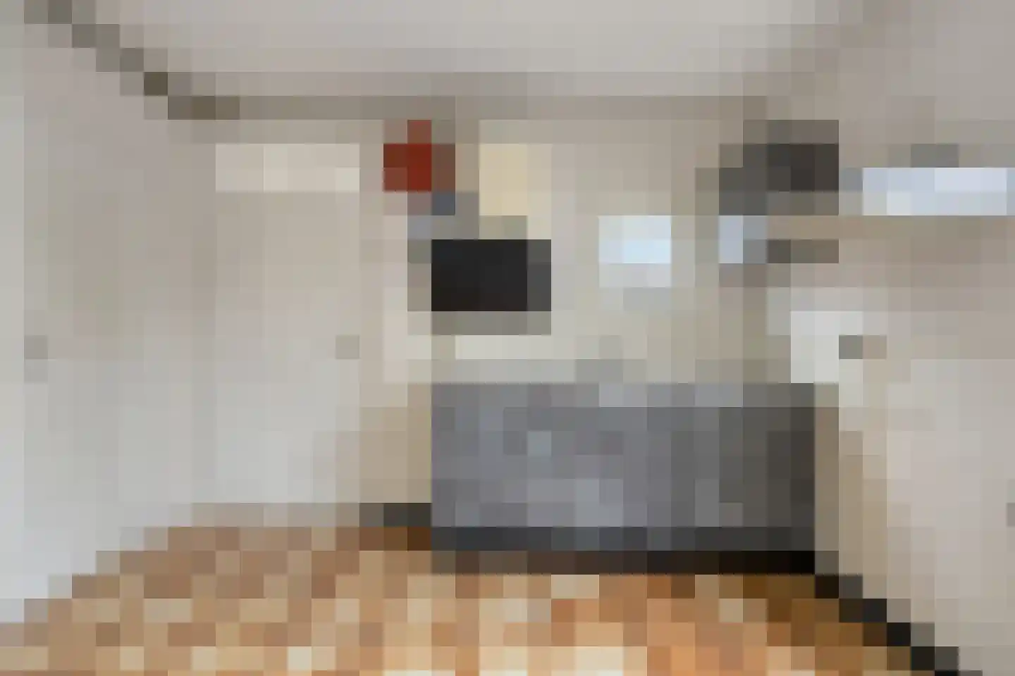 Akkerstraat 2 Liempde thumbnail 5