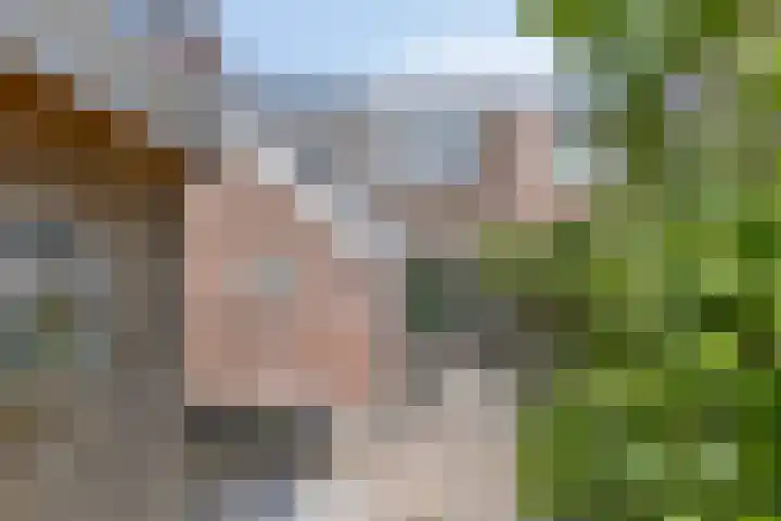 Akkerstraat 20 Valkenswaard thumbnail 28