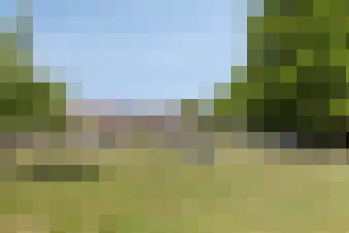 Akkerstraat 20 Valkenswaard thumbnail 31