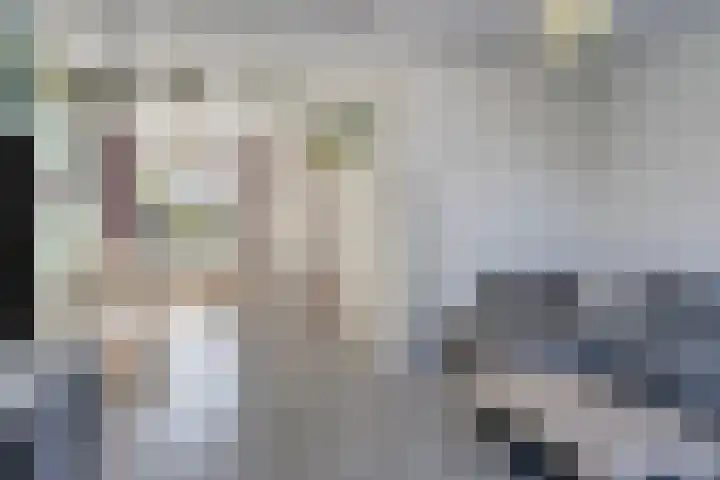 Akkerstraat 20 Valkenswaard thumbnail 7