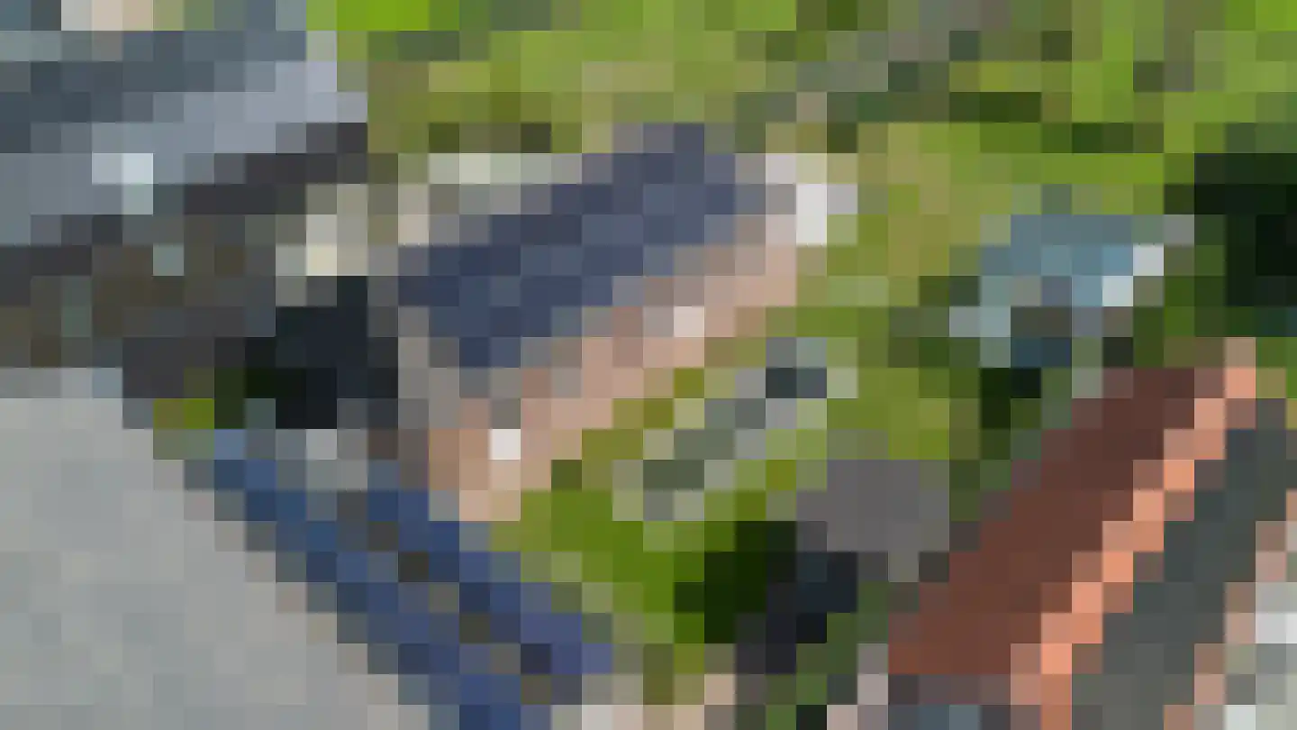 Akkerstraat 22 Biest-Houtakker thumbnail 101