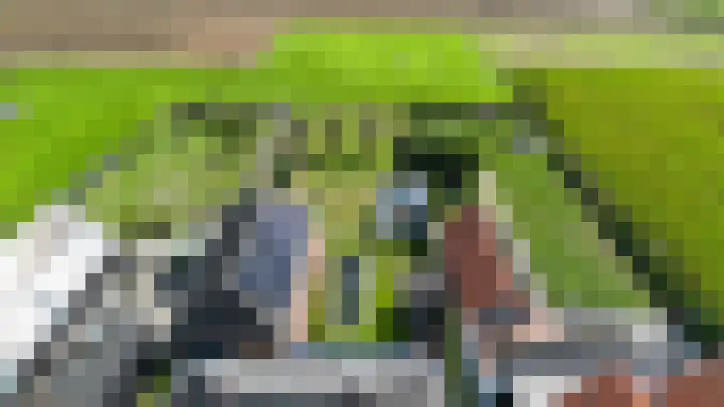 Akkerstraat 22 Biest-Houtakker thumbnail 102