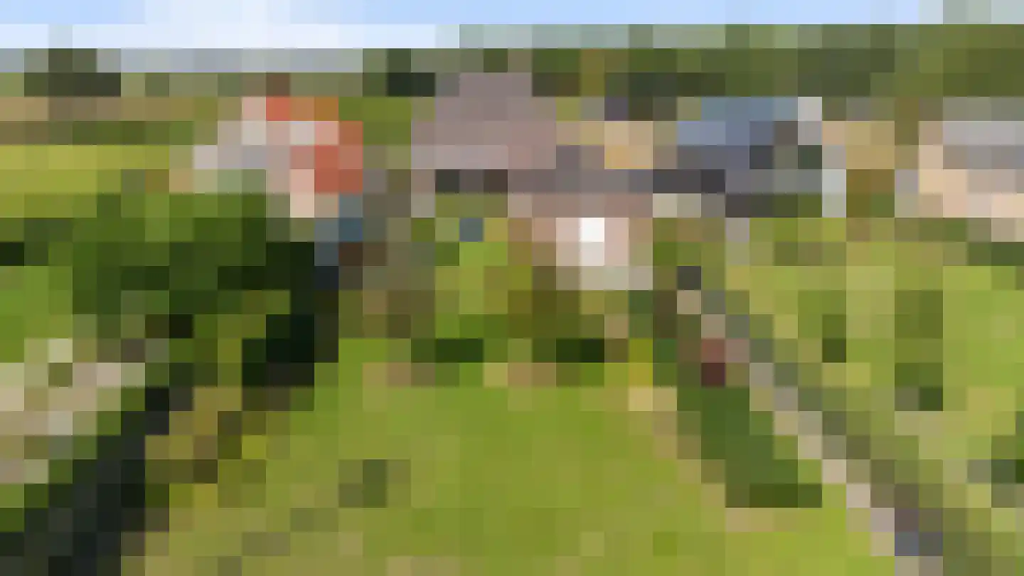 Akkerstraat 22 Biest-Houtakker thumbnail 103