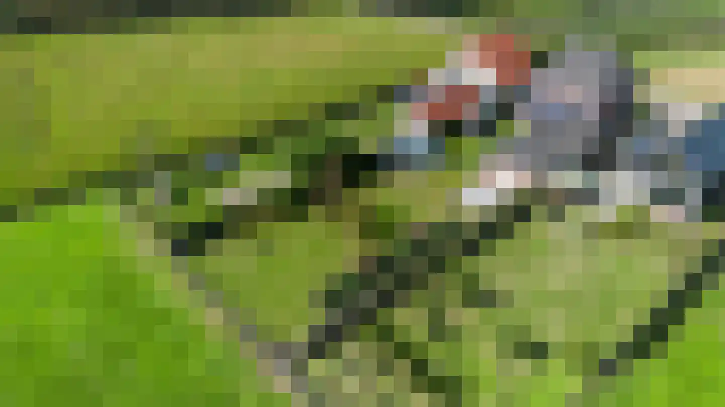 Akkerstraat 22 Biest-Houtakker thumbnail 104