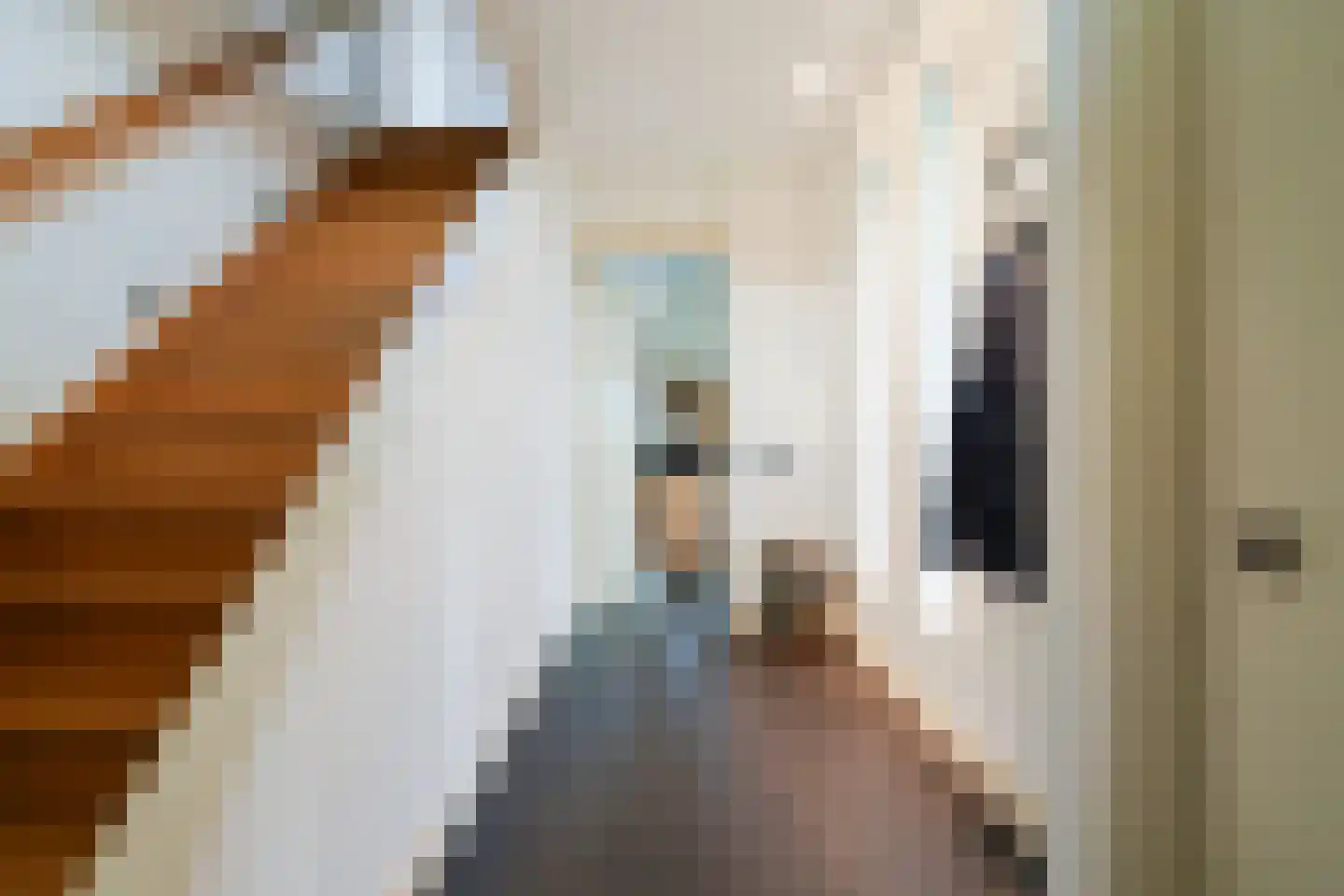 Akkerstraat 22 Biest-Houtakker thumbnail 15