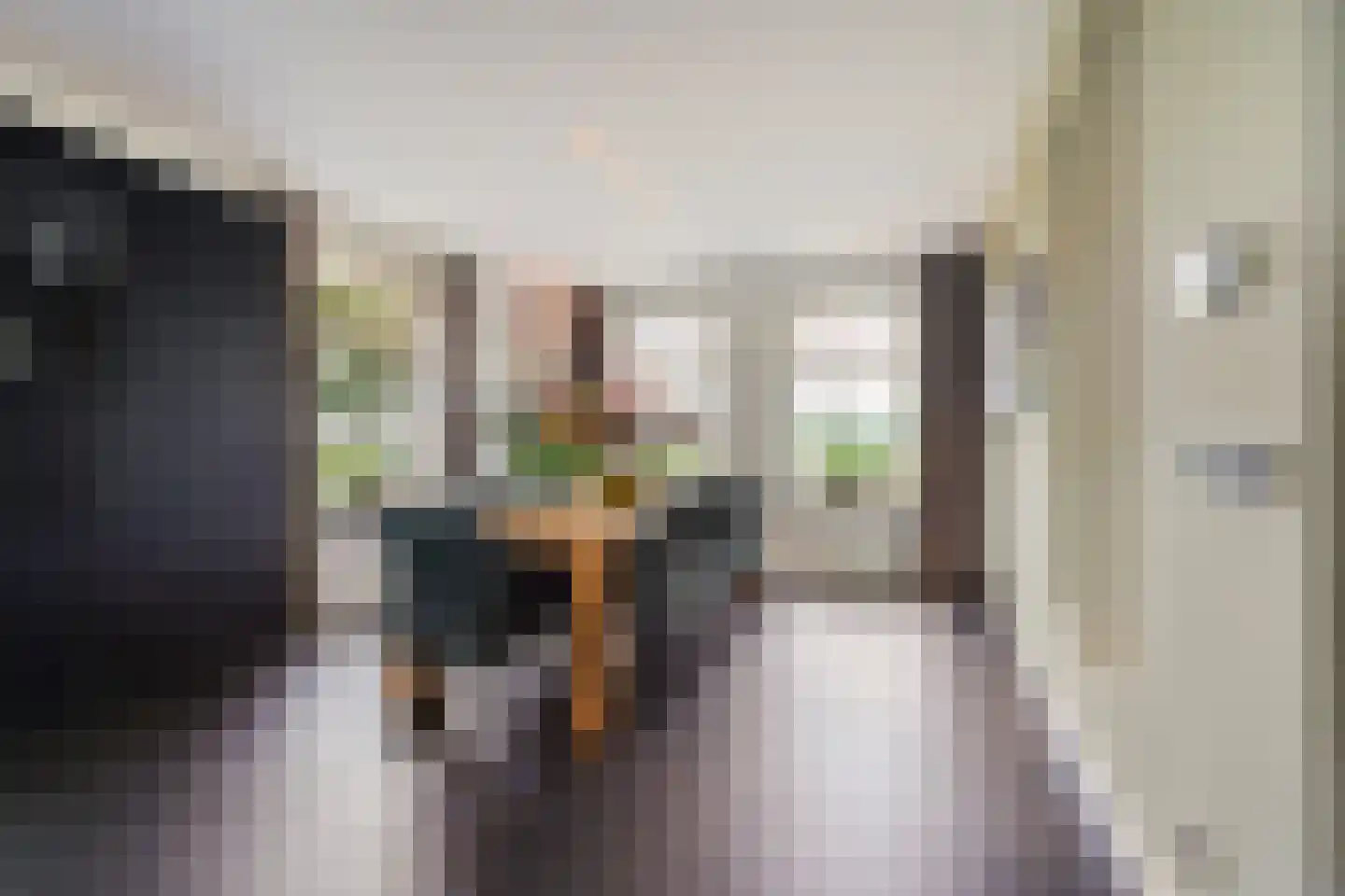 Akkerstraat 22 Biest-Houtakker thumbnail 23