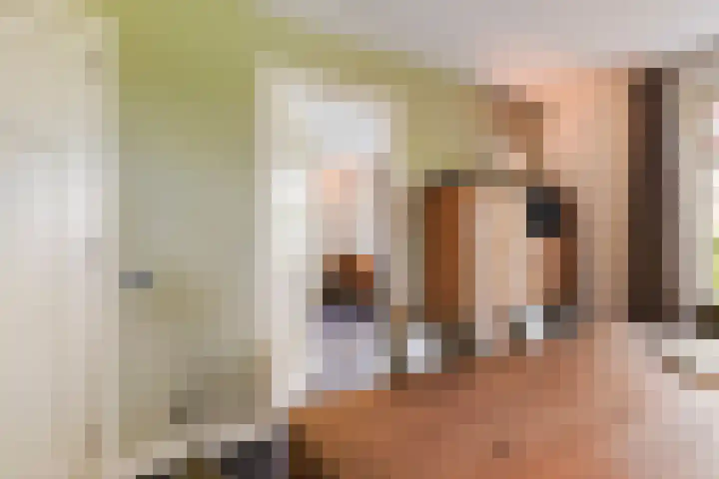 Akkerstraat 22 Biest-Houtakker thumbnail 34