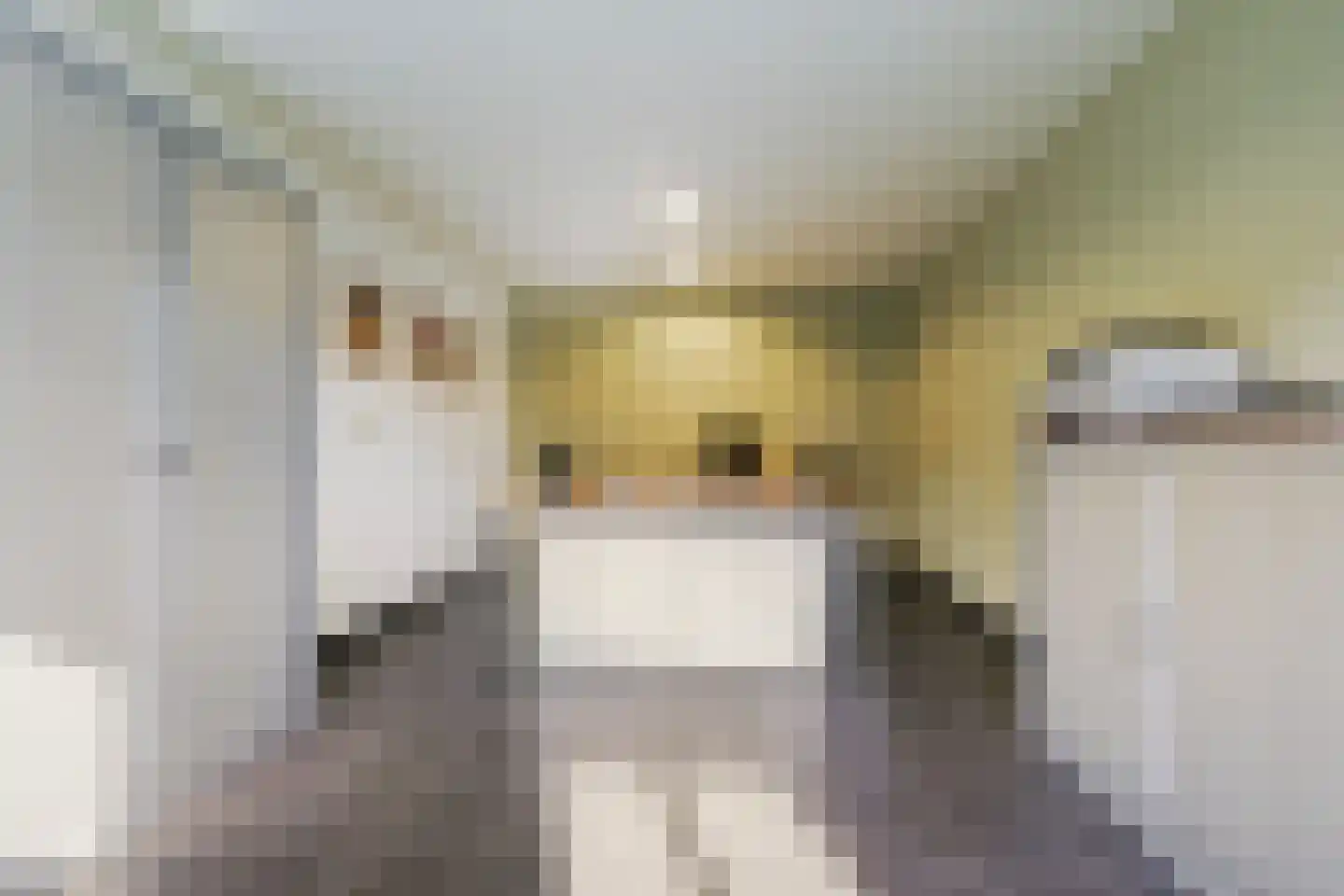 Akkerstraat 22 Biest-Houtakker thumbnail 35
