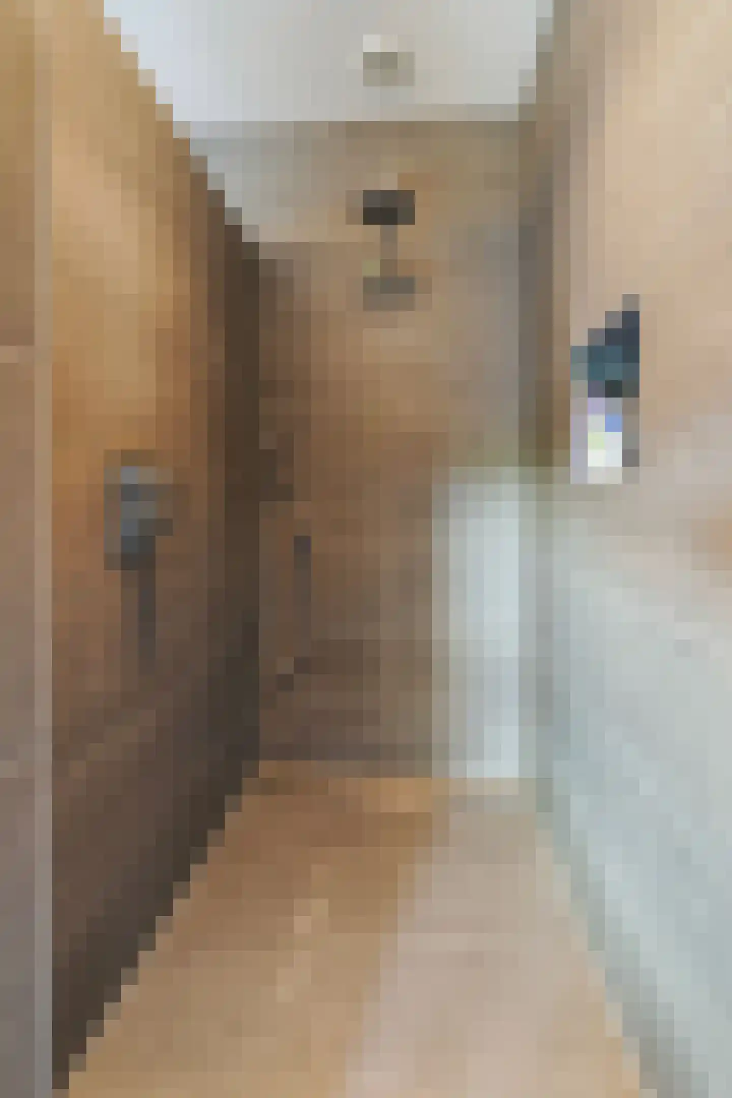 Akkerstraat 22 Biest-Houtakker thumbnail 51