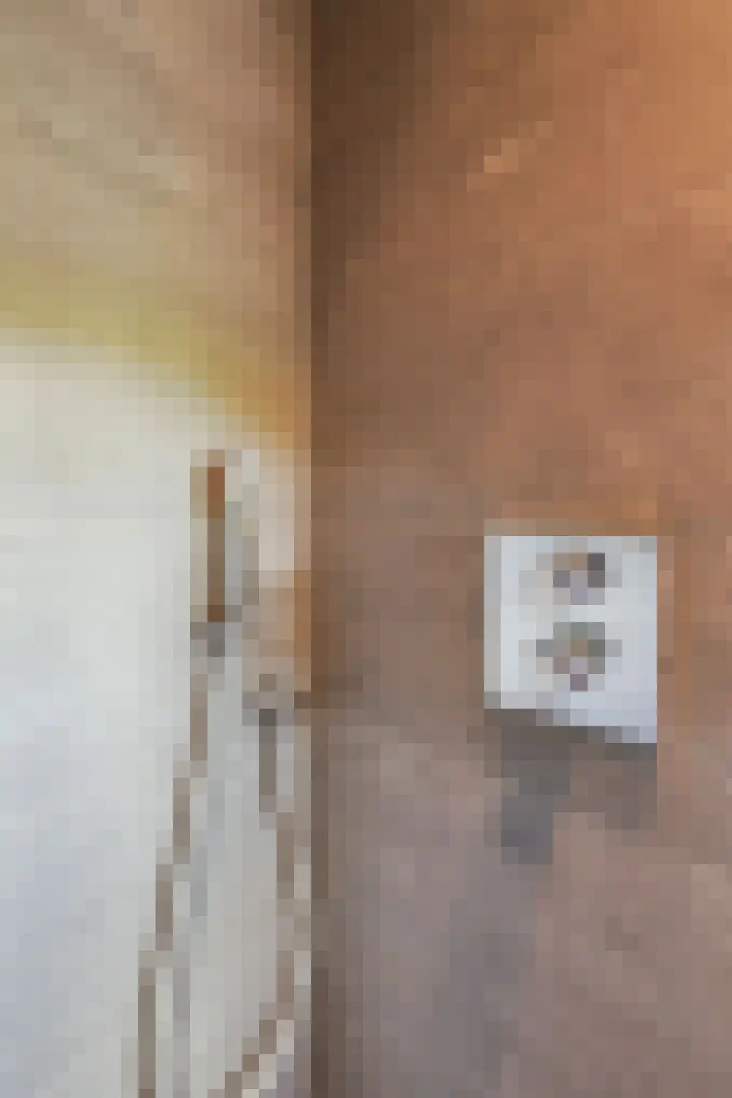 Akkerstraat 22 Biest-Houtakker thumbnail 64
