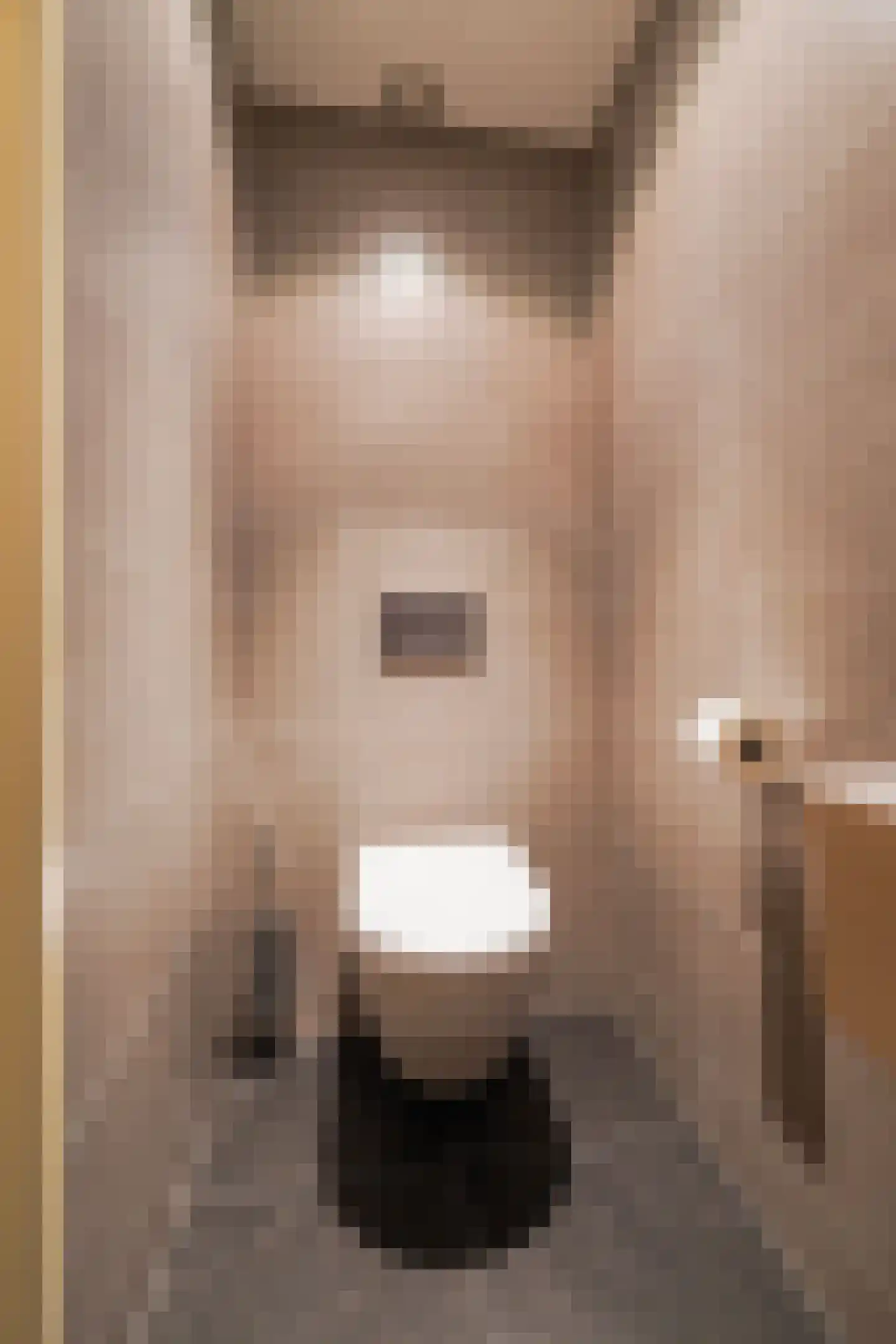 Akkerstraat 22 Biest-Houtakker thumbnail 77