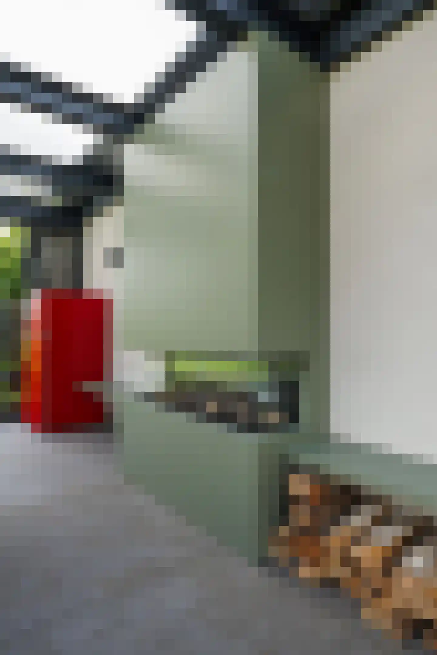 Akkerstraat 22 Biest-Houtakker thumbnail 98