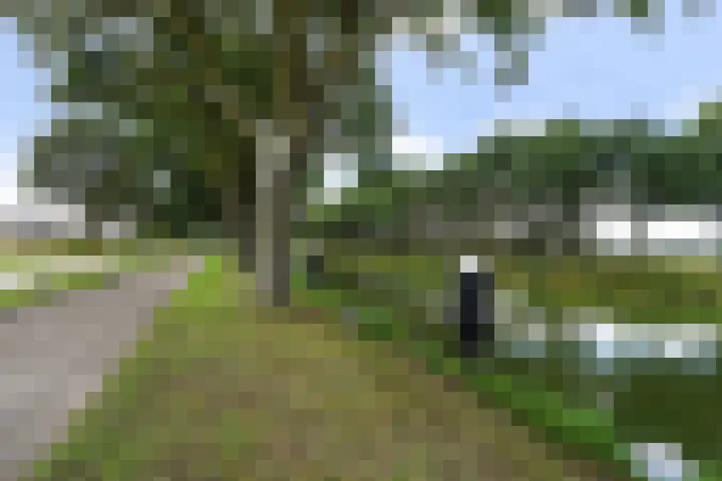 Akkerstraat 22 Biest-Houtakker thumbnail 99