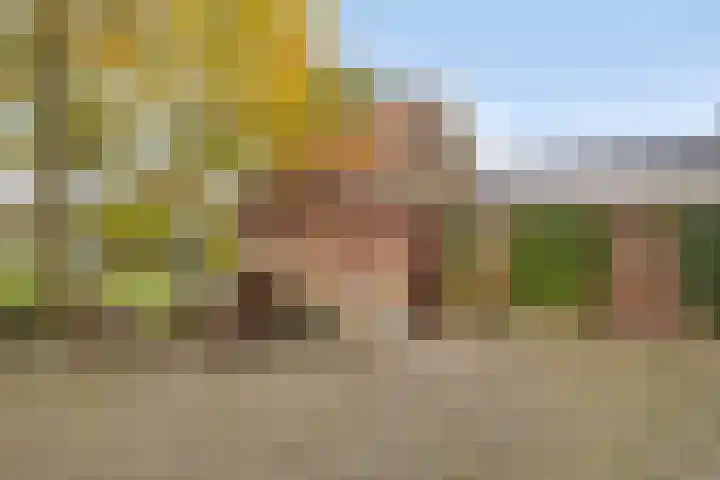 Akkerstraat 22 Herpt thumbnail 30