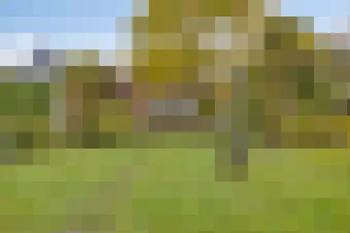 Akkerstraat 22 Herpt thumbnail 33