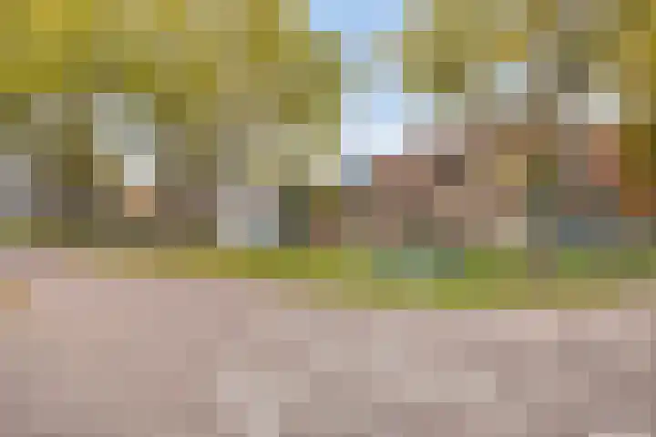 Akkerstraat 22 Herpt thumbnail 38