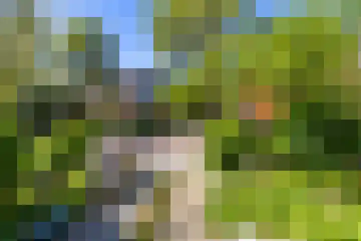 Akkerstraat 24 1 Groningen thumbnail 8