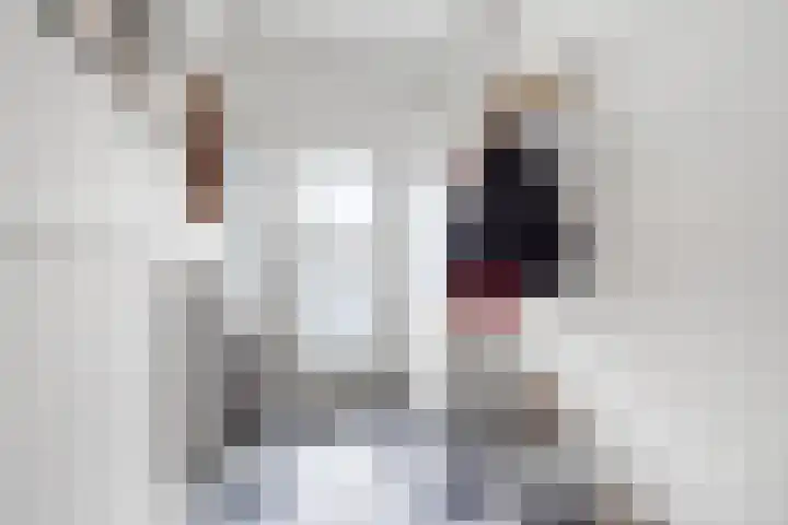 Akkerstraat 29 Eindhoven thumbnail 10
