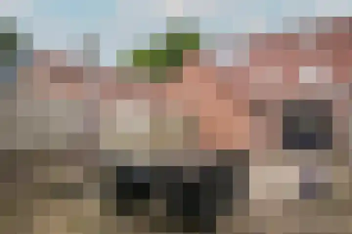 Akkerstraat 29 Genderen thumbnail 28