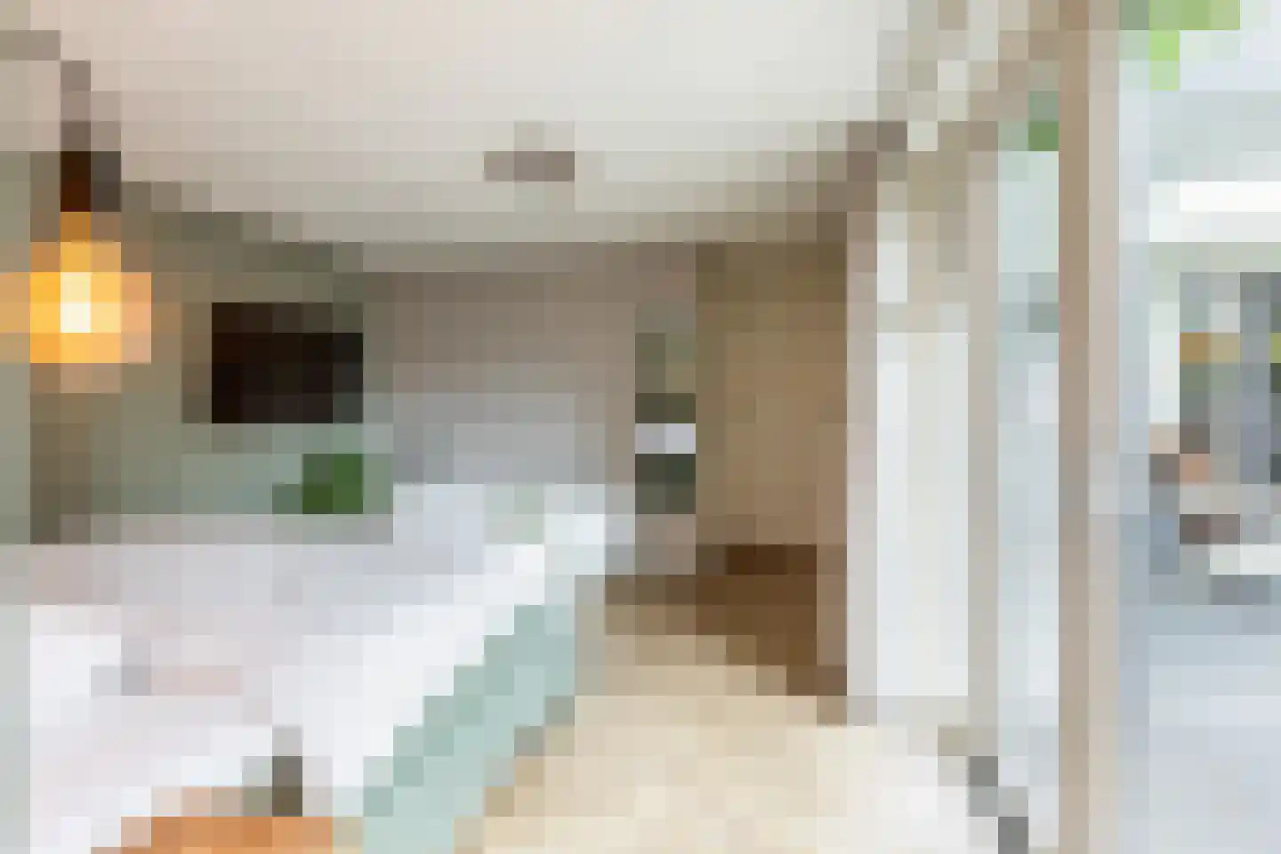 Akkerstraat 29 Waalre thumbnail 21