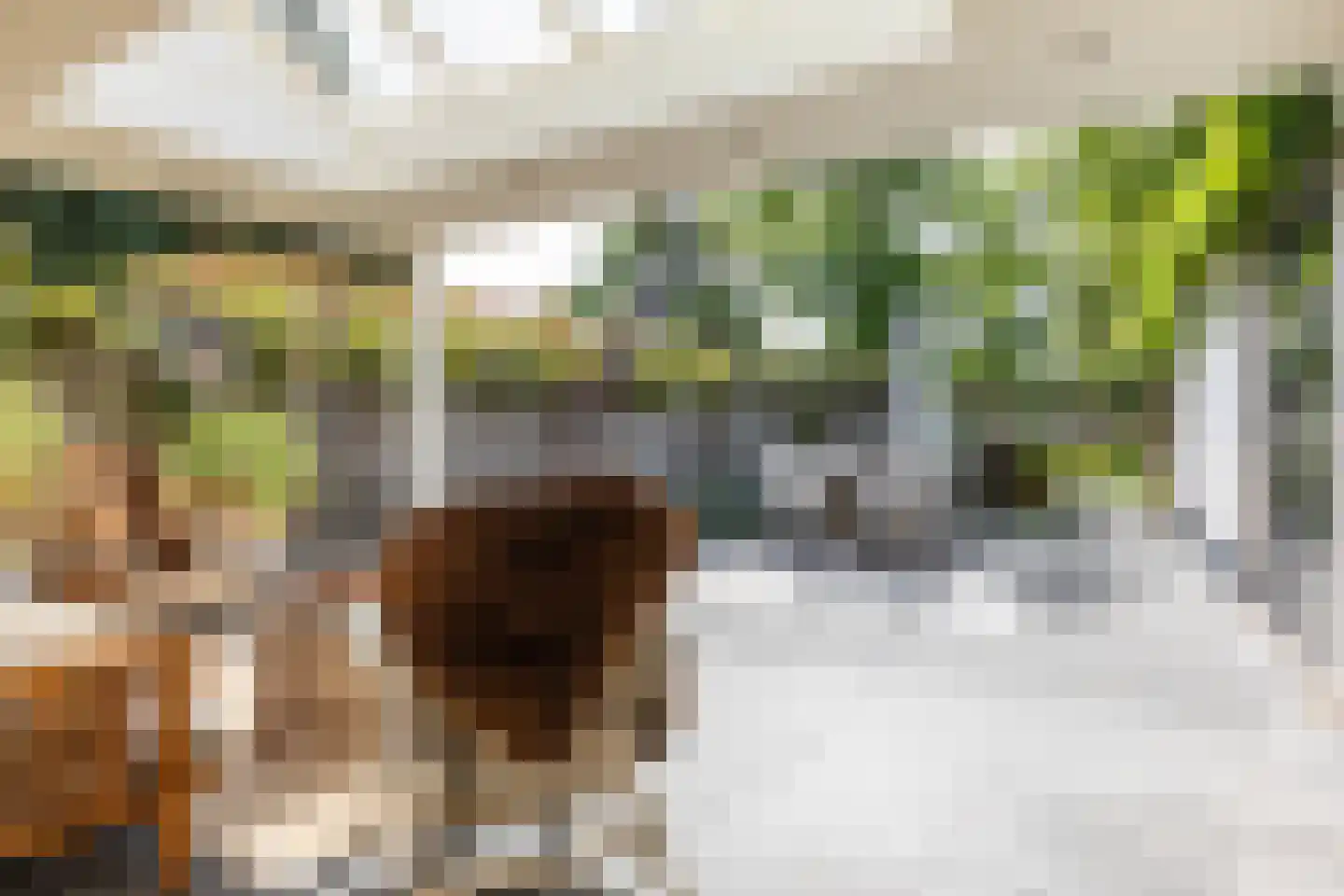 Akkerstraat 29 Waalre thumbnail 37