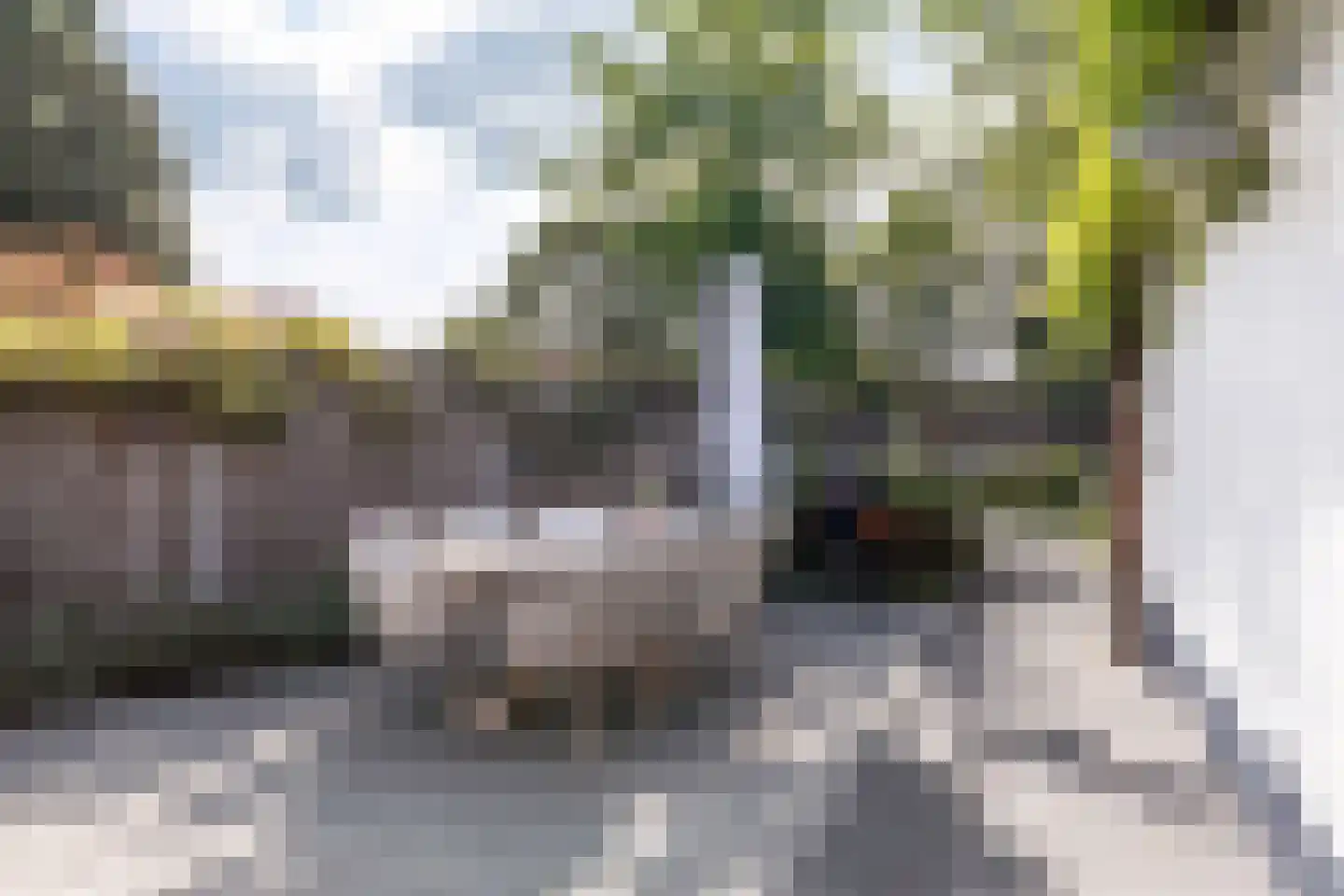 Akkerstraat 29 Waalre thumbnail 40
