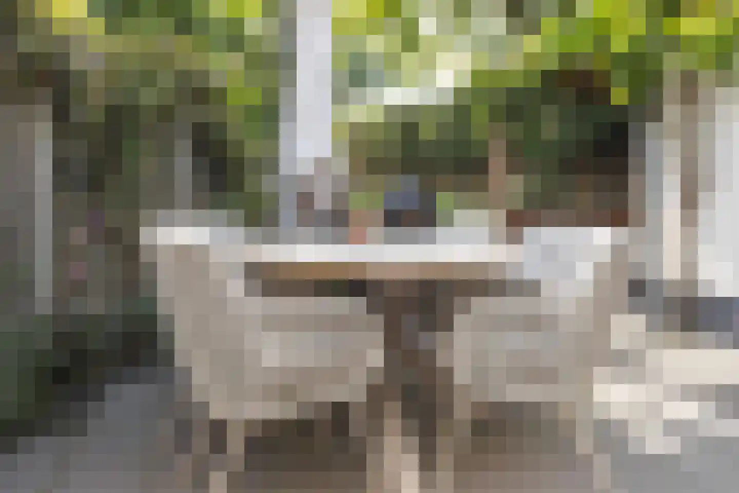 Akkerstraat 29 Waalre thumbnail 41