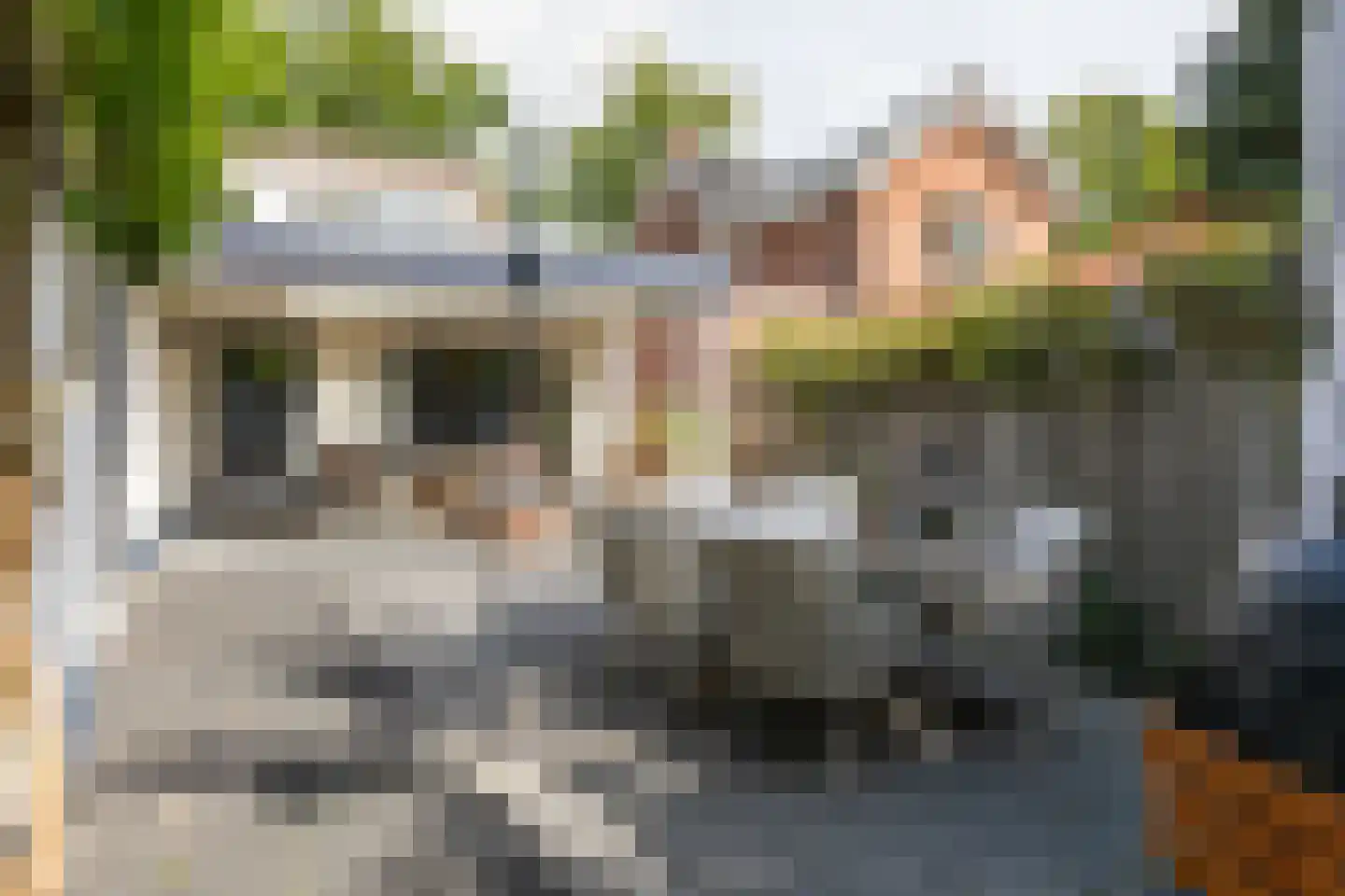 Akkerstraat 29 Waalre thumbnail 42