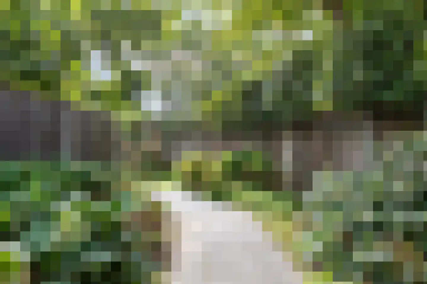 Akkerstraat 29 Waalre thumbnail 43