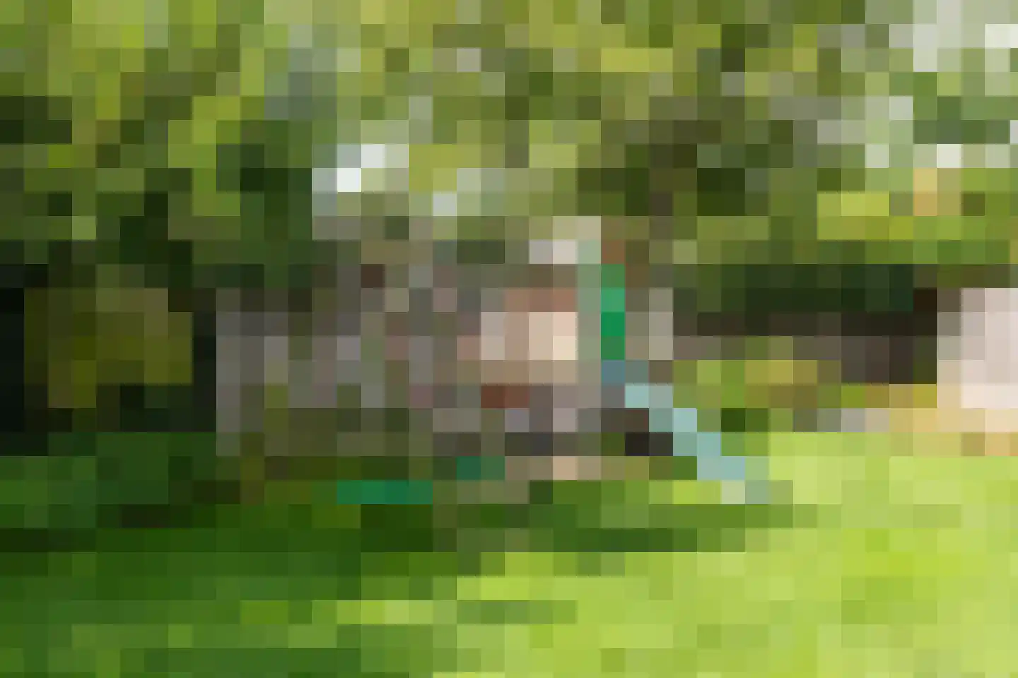 Akkerstraat 29 Waalre thumbnail 47