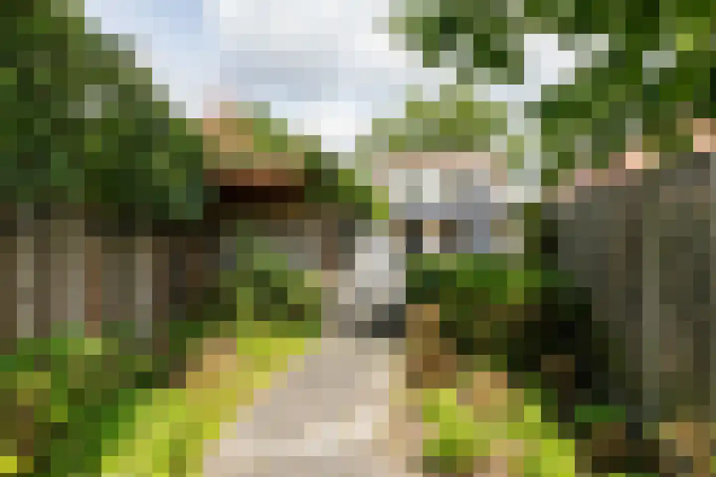 Akkerstraat 29 Waalre thumbnail 48