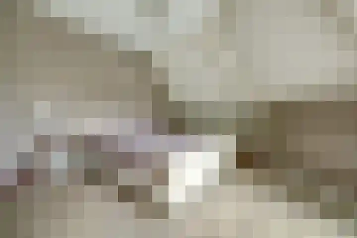 Akkerstraat 3 C Herpt thumbnail 22