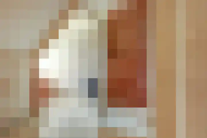 Akkerstraat 3 C Herpt thumbnail 26