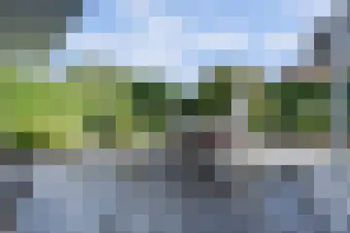 Akkerstraat 3 C Herpt thumbnail 37