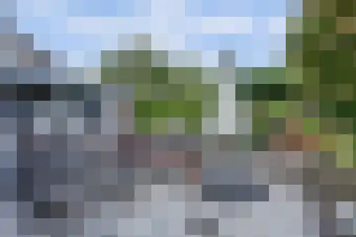 Akkerstraat 3 C Herpt thumbnail 38
