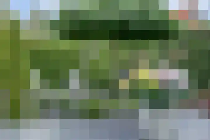 Akkerstraat 3 C Herpt thumbnail 39