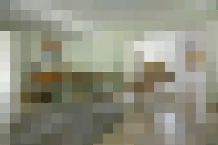 Akkerstraat 3 C Herpt thumbnail 4
