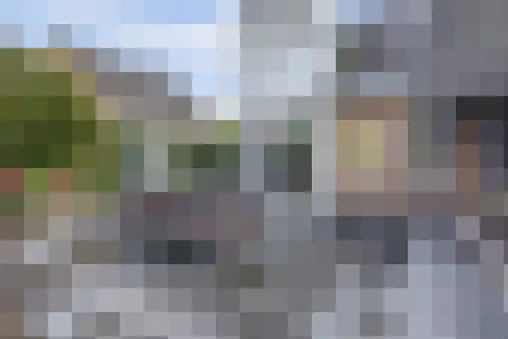 Akkerstraat 3 C Herpt thumbnail 40