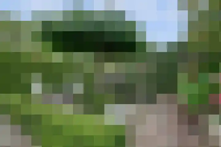 Akkerstraat 3 C Herpt thumbnail 42