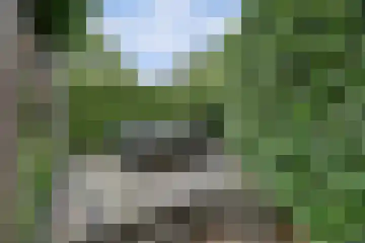 Akkerstraat 3 C Herpt thumbnail 43