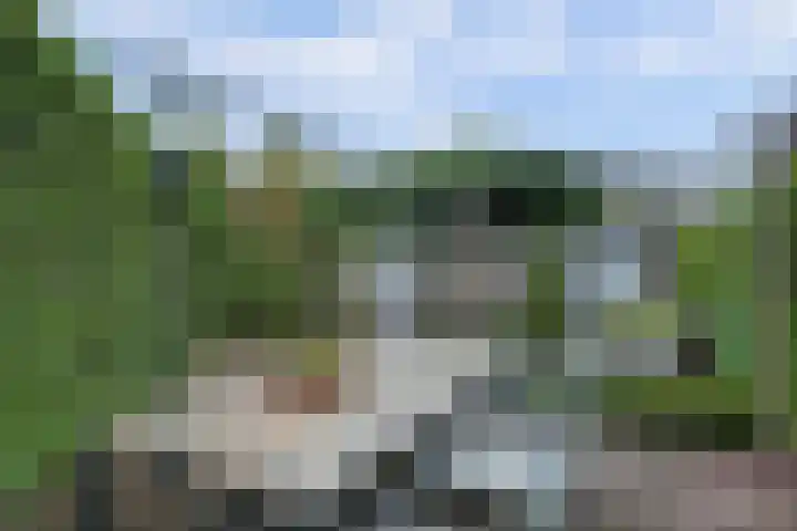 Akkerstraat 3 C Herpt thumbnail 44